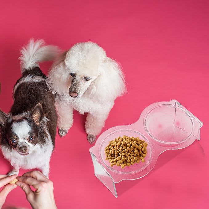 COOLHIYA Transparent Acrylic Double Pet Bowl for Cats and Puppies Household Food and Water Basin with Moderate Height Whisker-Friendly Indoor Feeder Designed to Prevent Spills and Reduce