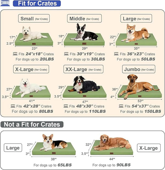 Outdoor Orthopedic Dog Bed for Medium Dogs & Cats, Waterproof Flat Pet Mat with Egg Crate Foam & Washable Removable Oxford Cover, 30x20 Inch, Light Green