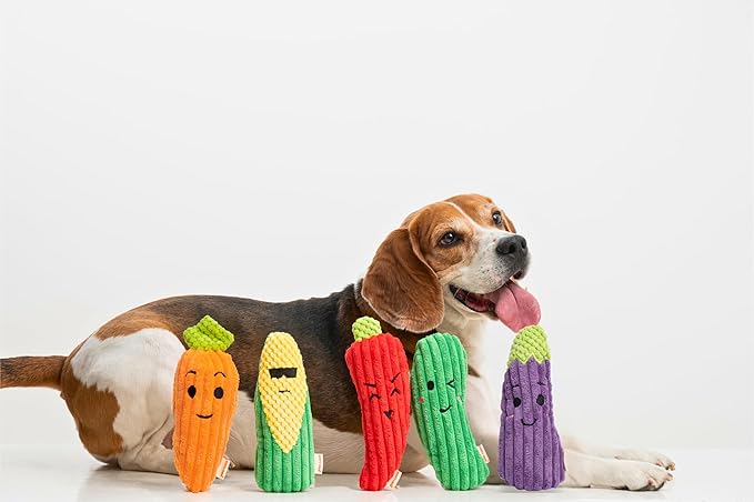 Squeaky Dog Plush Toy, Veggie Bite_Stick Collection, 8'', for Small and Medium Dogs (5 in 1)