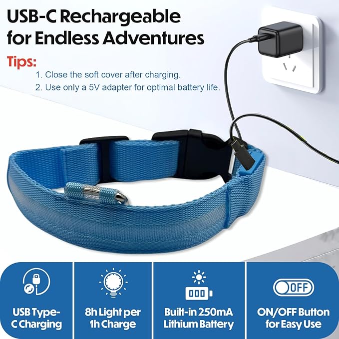 Light Up Dog Collar – Reflective, Adjustable & Rechargeable Electronic Glow Pet Collars – Bright, Comfortable, High Visibility LED Dog Collar for Night Safety, Outdoor Walk & Flashing Fun, Blue, Large