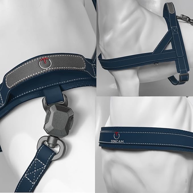 Magnetic Quick-Release Buckle Dog Harness and Leash Set, Easy Walk Faux Leather Puppy Harness, Easy On & Off Dog Vest with Handle for Medium, Large Girl Boy Dogs for Hiking Training, Blue, XL
