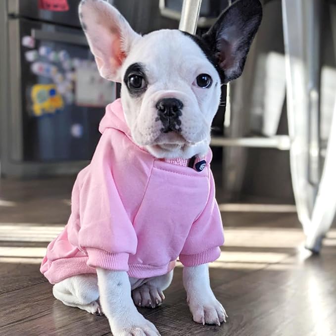 Jecikelon Winter Dog Hoodie Sweatshirts with Pockets Warm Dog Clothes for Small Dogs Chihuahua Coat Clothing Puppy Cat Custume (Pink, Large)