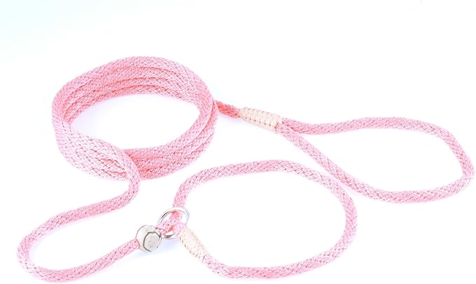 Alvalley Nylon Dog Training Leash with Stopper - Adjustable Nylon Rope Comes with Braided Leather at Ends - Tagua Bead Stopper Slip Lead - Suitable for Walking, and Training