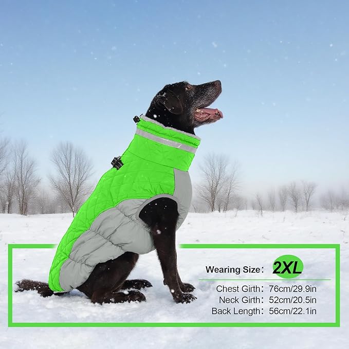 Warm Dog Coats for Medium Dogs, Waterproof Dog Jacket with Harness Built in, Zipper Clousure, Fleece Lining for Cold Weather Outdoor Walks, Snowsuit for Schnauzer, Boston Terrier, Pug - M