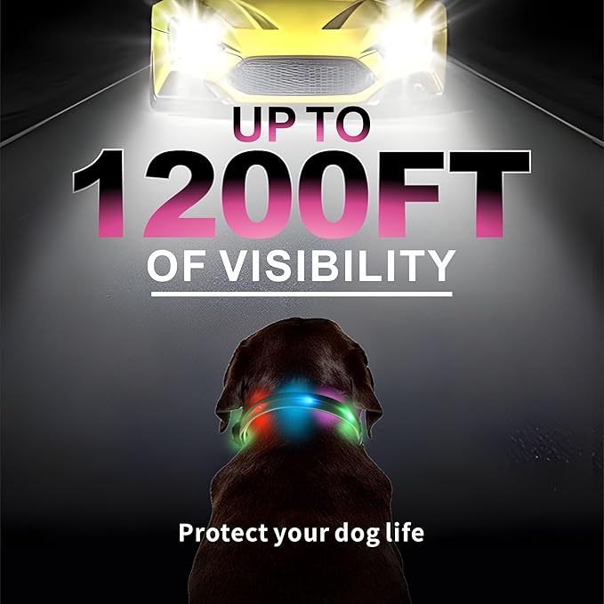 Light up Dog Collars, LED Dog Collar, Lighted Safety Collar for Walking at Night for Small Medium, Large Dogs (Cute Pink)
