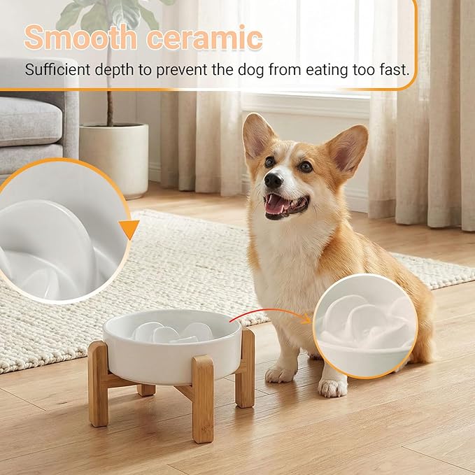 Ceramic Slow Feeder/Dog Bowl for Small Medium Dogs,Elevated/Raised Slow Feeding Dog Food Water Dish Heavy Weighted,Puzzle Eating Bowl Modern Maze (White, 8.26in)