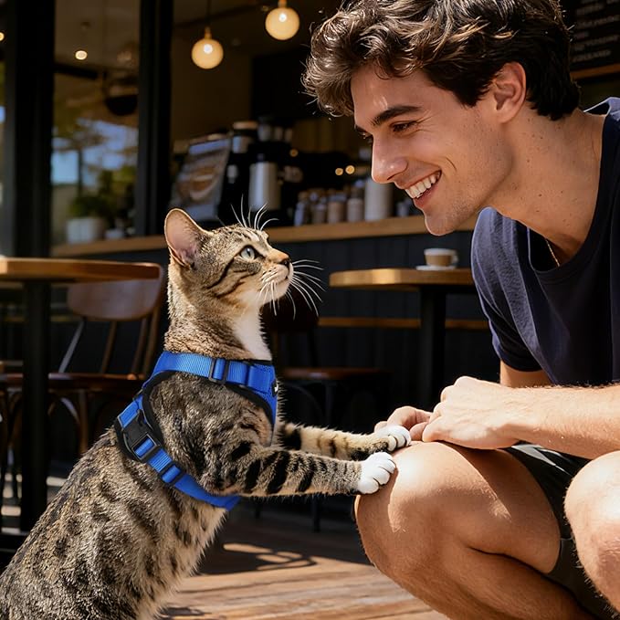 Dooradar Cat Harness and Leash Set, Escape Proof Safe Adjustable Kitten Vest Harnesses for Walking, Easy Control Soft Breathable Mesh Jacket with Reflective Strips for Cats, Blue, S