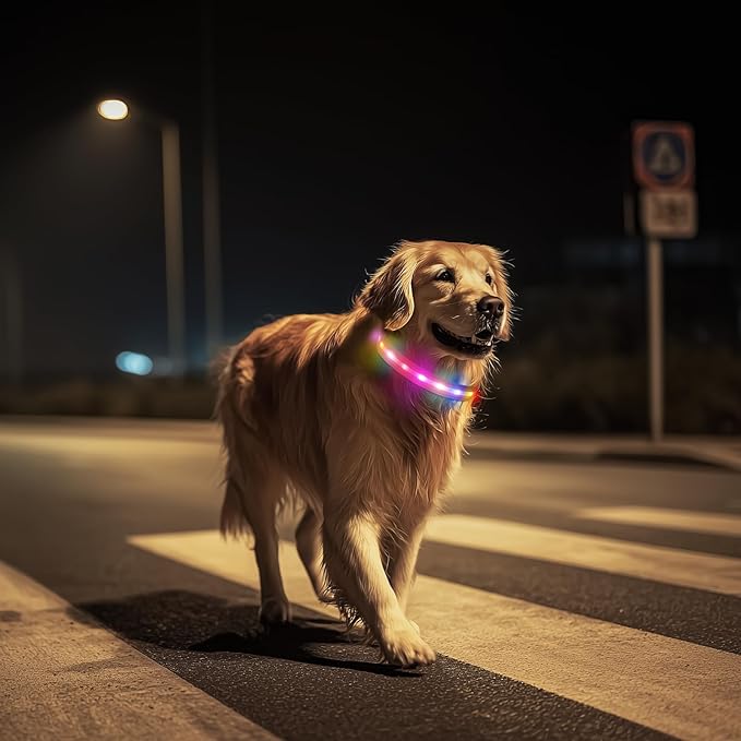 LED Dog Collar, Light Up Dog Collar, USB Rechargeable - Brightest Dog Lights for Night Walking, 6 Light Modes, Adjustable for Dog Safety(Large, Candy Pink)