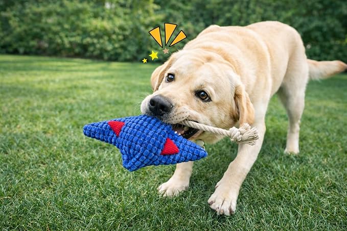 Durable Blue Fish Plush Dog Chew Toys with Squeaker – Tough Stuffed Ocean Animal with Natural and Safe Cotton Fill for Aggressive Chewers, Teething Puppies, and Small, Medium, and Large Breeds
