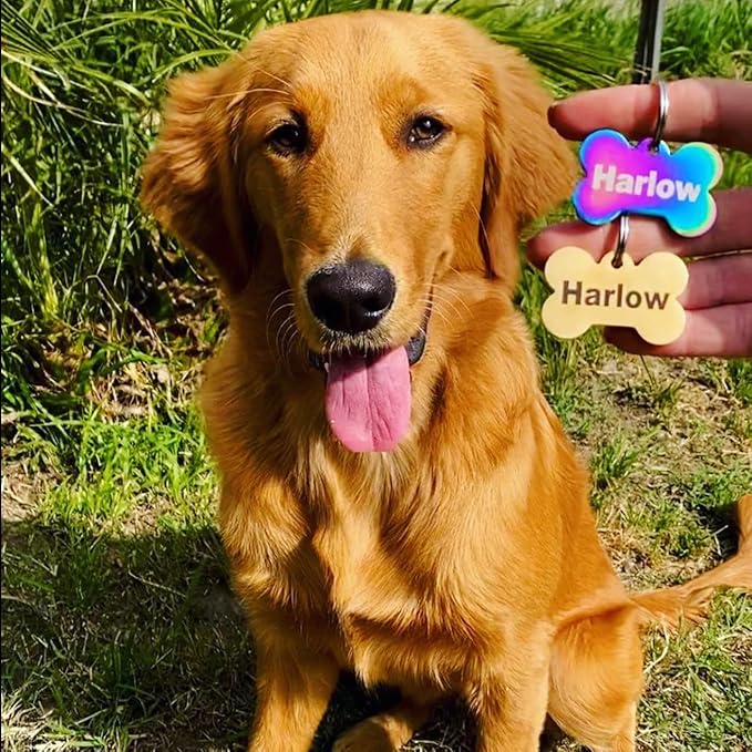 Engraved Dog Tags Personalized - Stainless Steel Engraved Dog Cat ID Tags Front & Back up to 8 Lines of Text Color Plating Gold, Rose Gold, Blue, Black, Nebula Badge Regular