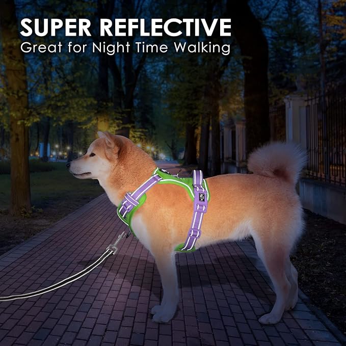 PHOEPET No Pull Dog Harness, Unique Colors Reflective Adjustable Dog Vest, with Soft Training Handle Metal Clips for Small Medium Large Dogs (Green Base & Purple Straps,S)