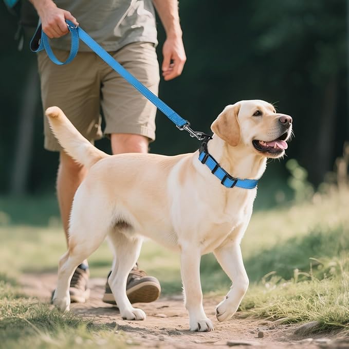 Joytale Reflective Dog Collar, Soft Neoprene Padded, Metal D-Ring, Nylon Pet Collar Adjustable for Extra Large Dogs, SkyBlue, XL