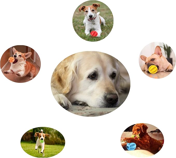 Sunglow 2 Pack Dog Toy, Nontoxic Bite Resistant Teething Balls for Small/Medium/Large Dogs and Puppies, Pet Food Treat Feeder, Chew Tooth Cleaning, Exercise Game IQ Training