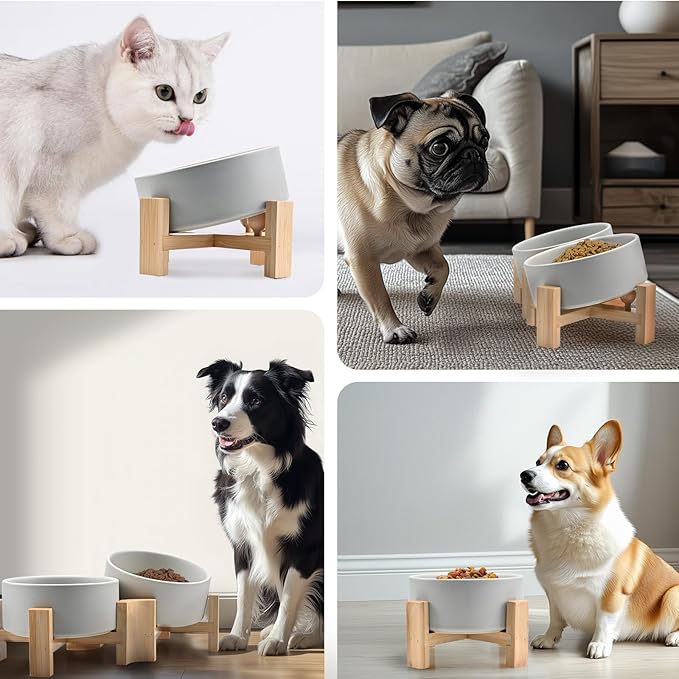 SPUNKYJUNKY 15° Slanted Ceramic Dog and Cat Bowl with Wooden Stand, Tilted Bulldog Food and Water Bowl No Slip Non-Spill for Cats Medium Dogs Big Face Pets 28.7 OZ (3.6 Cups, Grey × 2)