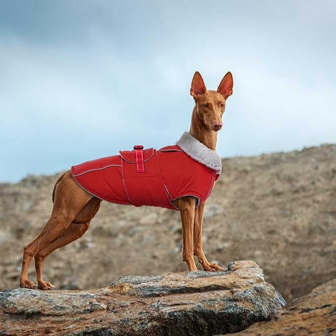 Lelepet Warm Dog Coat Waterproof Dog Jacket Reflective Fleece Vest with Adjustable Buckle Hook & Loop, Windproof Winter Jacket Dogs Coats for Small Medium Large Dogs, Red, XXXL