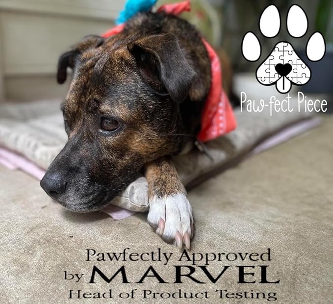 Paw-FECT Piece Plush Calming Duck Dog Toy, with Quacking Sound, Emotional Support Soft Chew Toy, Great for All Breed of Dogs