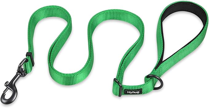 Hyhug Nylon Adjustable 4-6ft Dog Leash with Soft Neoprene Padded Handle, Durable Heavy Duty Leash with Easy-to-Use Bolt Snap, Ideal for Jogging Outdoor