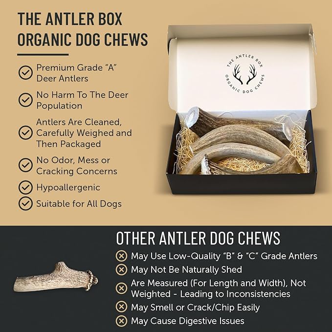 The Antler Box Premium Deer Antler Dog Chews (1 lb Bulk Pack) (X-Large (2 Antlers)