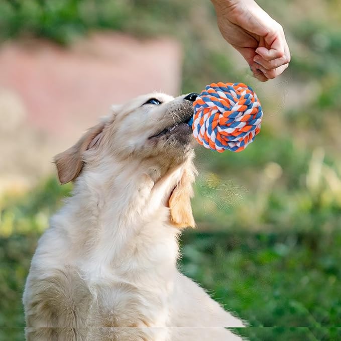 GASAPET Dog Rope Toys for Aggressive Chewers, Nearly Indestructible Dog Toys Set for Large/Medium Dogs, Heavy Duty Natural Cotton Rope Chew Toy for Teething, Tug Toy 5 Pack