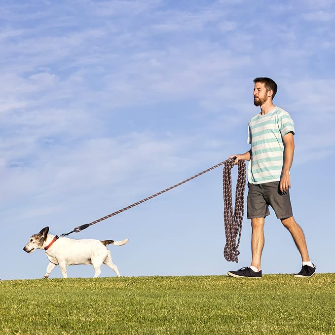 Long Dog Leash for Training 50Ft-Reflective Nylon Rope with Swivel Hook-Recall Agility Lead for Large Small Medium Dogs Outside Walking Hiking-Brown