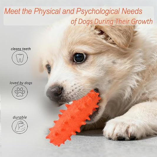2 Pack Chew Toys for Puppies & Dogs, Dog Chew Toys to Keep Them Busy, Durable Puppy Teething Chew Toys, Tough Puppy Toothbrush Clean Teeth Interactive Toys for Small Medium Breed (Orange)