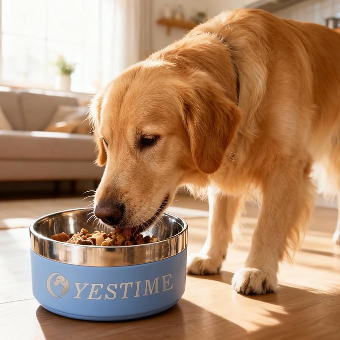 Personalized Dog Bowl with Name,Customized Steel Stanless Pet Water Bowls for Both Cat & Dog,Customized Gifts for Your Aadorable Furry Friend (Black)