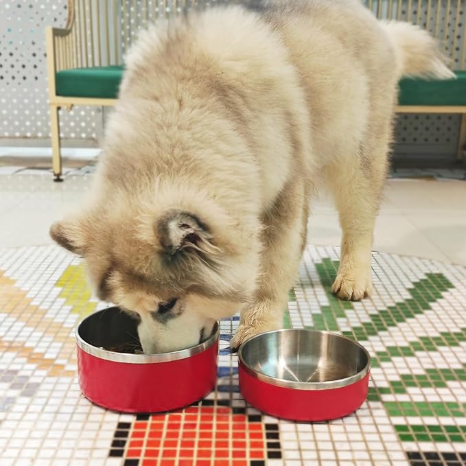 LIANLAI Stainless Steel Dog Bowls, Rust-Resistant Pet Bowls, Non Slip Dog Water Bowl, Versatile Feeding Bowls (Red,40 oz)