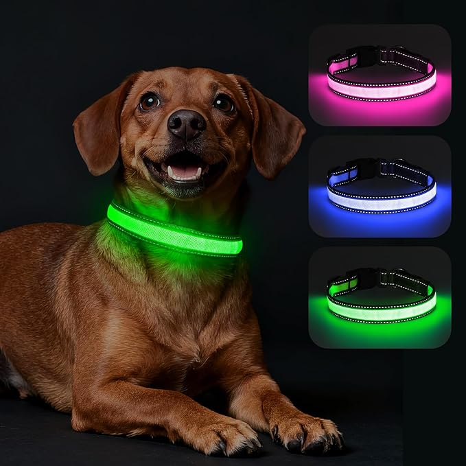 Dolitego LED Dog Collar USB Rechargeable - Light Up Dog Collar Safety Pet Collars with Lights for Night Walking, Camping (Green, M)