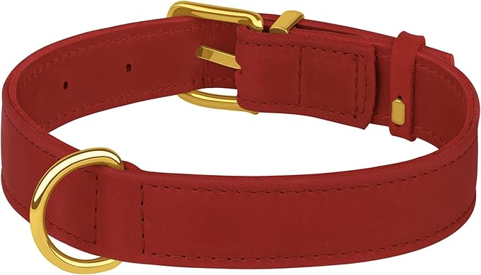 Leather Dog Collar - Heavy Duty Adjustable Soft Padded Pet Collars for Small Medium Large Dogs Breed - Black Green Brown Pink Red Blue (Red, M, 12"-15" Neck Fit)