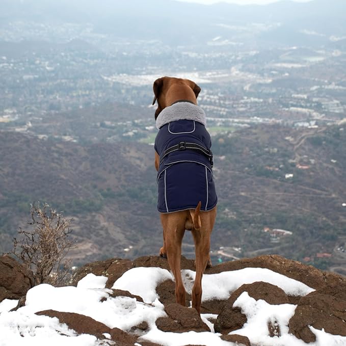 Lelepet Warm Dog Coat Waterproof Dog Jacket for Extra Large Dogs Reflective Fleece Vest with Adjustable Buckle Hook & Loop Windproof Cold Weather Coats for Small Medium Large Dogs, Navy Blue, XXXL