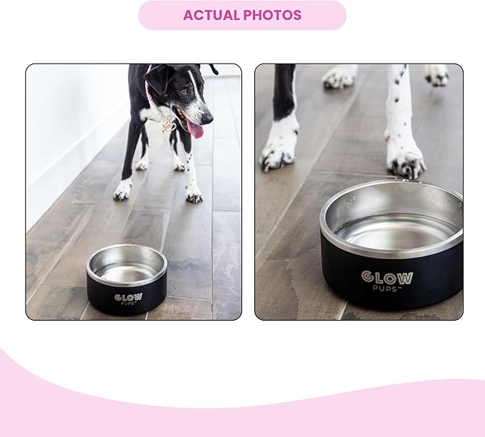 Glow Pups 64 oz Black Anti-Skid Dog Bowl, Vacuum Insulated, Powder Coated, Stainless Steel, Non-Slip, Easy to Clean
