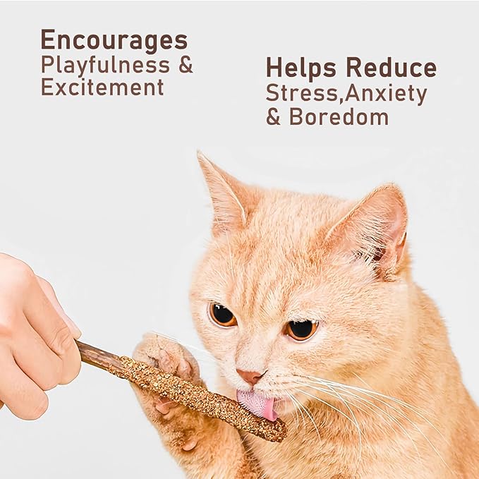 Maiguangta Natural Silvervine Catnip Chew Sticks (12 PC) - Edible Dental Chews for Cats & Kittens, Teething Relief Teeth Cleaning Toys