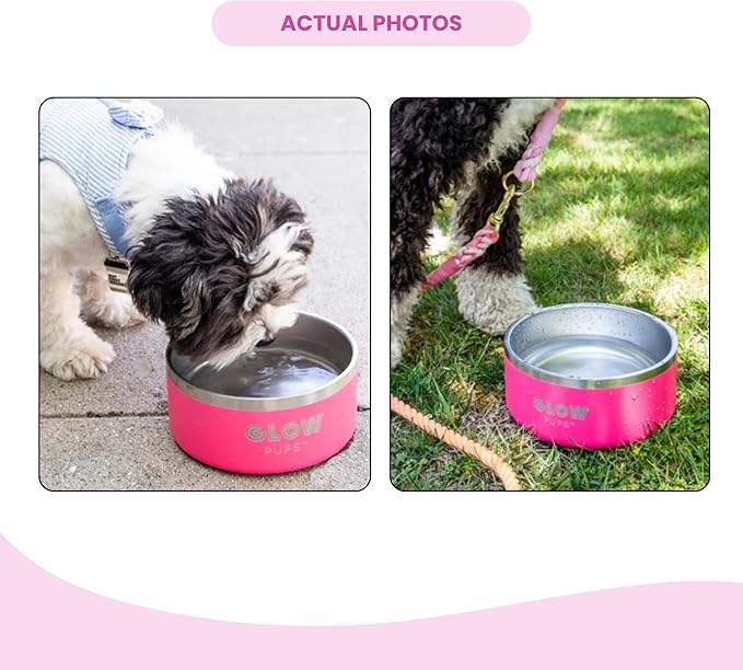 Glow Pups Bright Pink Dog Bowl for Small Dogs, 32 oz Non Slip Stainless Steel Pet Bowl, Vacuum Insulated Pet Bowl That Keeps Water Cool (32 oz, Bright Pink)