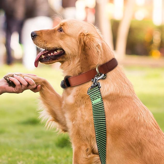 Hi Kiss Dog/Puppy Obedience Recall Training Agility Lead - 15ft 20ft 30ft 50ft 100ft Training Leash - Great for Training, Play, Camping, or Backyard(20ft,Black_Green)