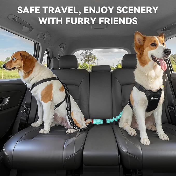 Pawaboo 2Pack Dog Seatbelt for Car, 3-in-1 Dog Car Seat Belt, Shockproof Dogs Tether with Buckle & Hook Latch, Adjustable Reflective Dogs Cars Leash with 360° Lockable Buckle, Lake Blue + Black