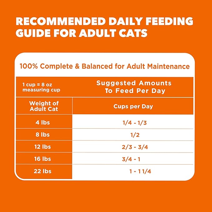 IAMS Proactive Health Healthy Adult Dry Cat Food with Real Salmon, 22 lb. Bag