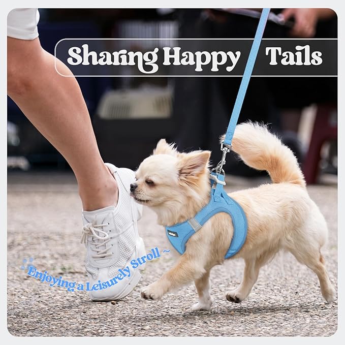 rabbitgoo Dog Harness Small Sized and Leash Set, Step in Soft Light Puppy Vest, Breathable Mesh Pet Harness, Reflective for Safe Easy Walking, Blue XXXS