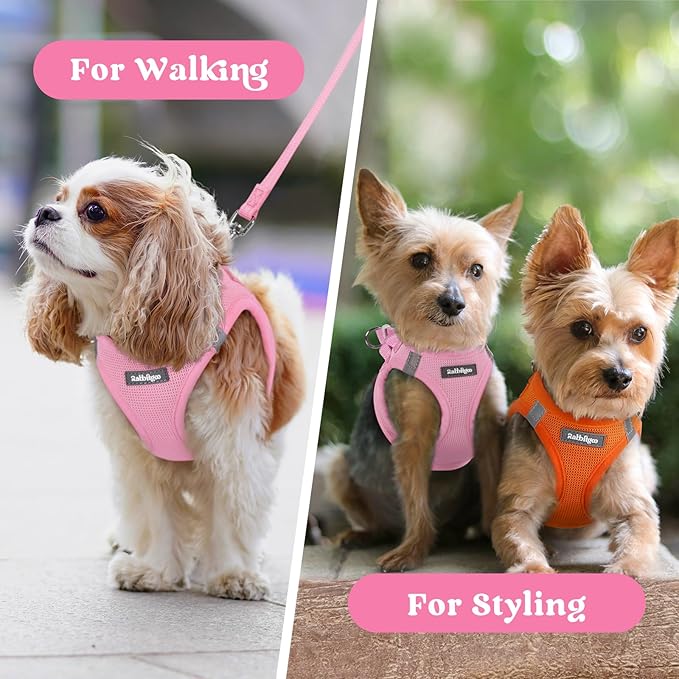 rabbitgoo Small Dog Harness, Step-in Soft Mesh Puppy Vest with Safety Buckle, Breathable Reflective Pet Harness for Small Sized Dogs, Light Pink XS