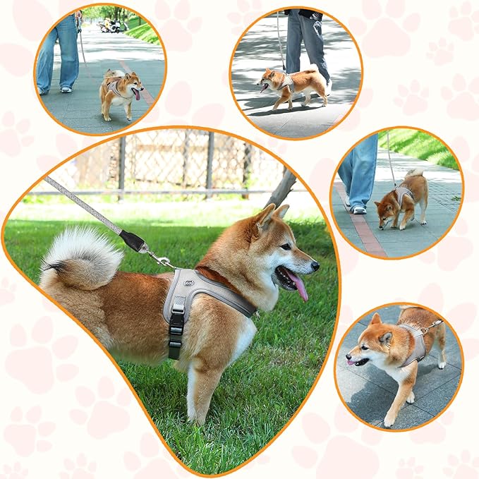 Dog Harness and Leash Set, No Pull Saddle Style Pet Harness, Breathable Mesh Adjustable Reflective Dog Vest for Dogs and Cat Medium Small Harness 2 D-Rings, Grey, S