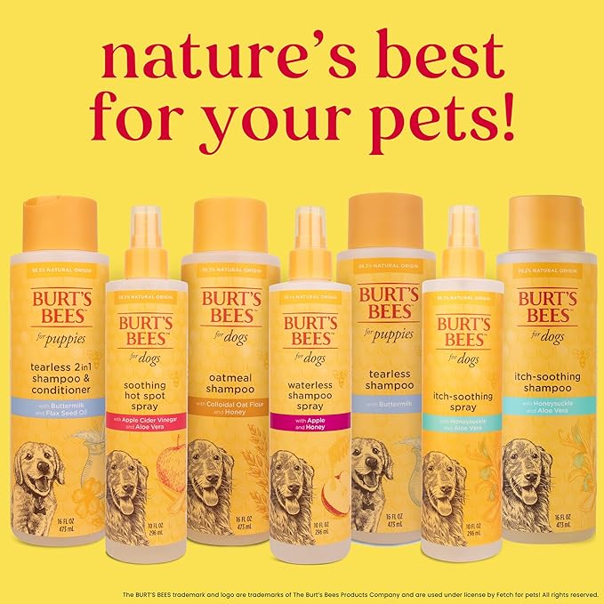 Burt's Bees for Pets Waterless Shampoo Spray for Dogs with Apple and Honey, 99.1% Natural Origin Formulas, Gentle Waterless Dry Dog Shampoo, 10 Fl Oz - 3 Pack