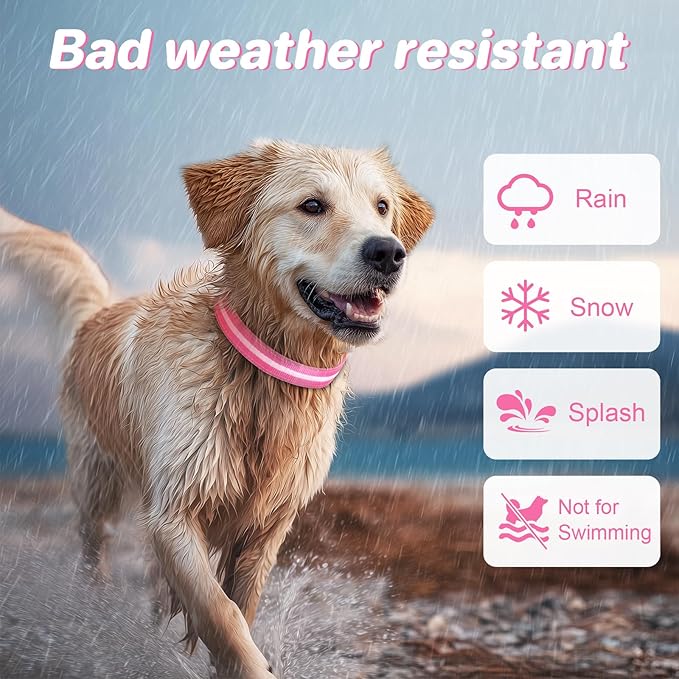 PcEoTllar Light Up Dog Collars, Led Dog Collar, Rechargeable, Night Walking, Waterproof, Glow in The Dark Dog Collars Light for Large Small Medium Dogs, Pink s
