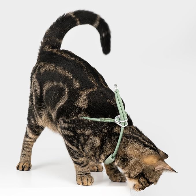 Escape Proof Y Shape Cat Harness Anti-Choke Buckle Adjustable Comfortable Padded Cat Vest Harness Anti Escape Cat Rope Harness for Kitten Small Medium Large Cats (Black, M)