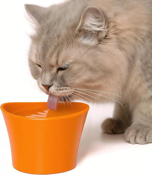 Elevated Cat Water Bowl – Shallow Raised Cat Bowl for Whisker Fatigue; Vet-Recommended Height, Food-Grade Melamine, Non-Slip & Dishwasher Safe Cats Dish - 8 oz, Orange