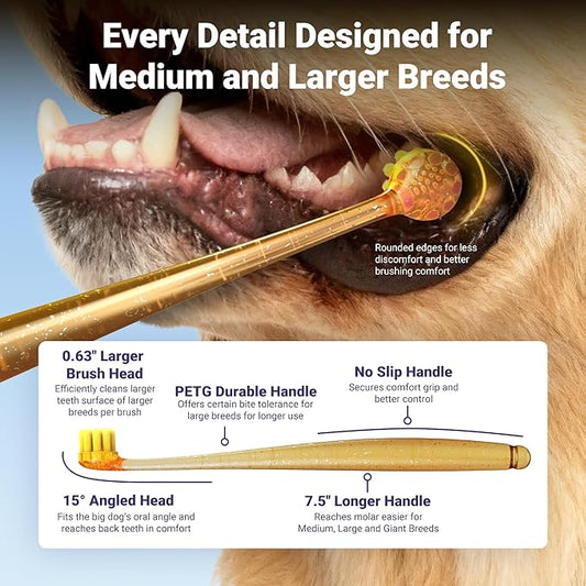 Large Dog Toothbrush for Medium and Large Dogs, 2pcs, Super Soft Bristle, Long Durable Handle, Pet Tooth Brush and Dental Care Kit, Super Thin Bristle Gentle on Gum for Sensitive Pets, Amber