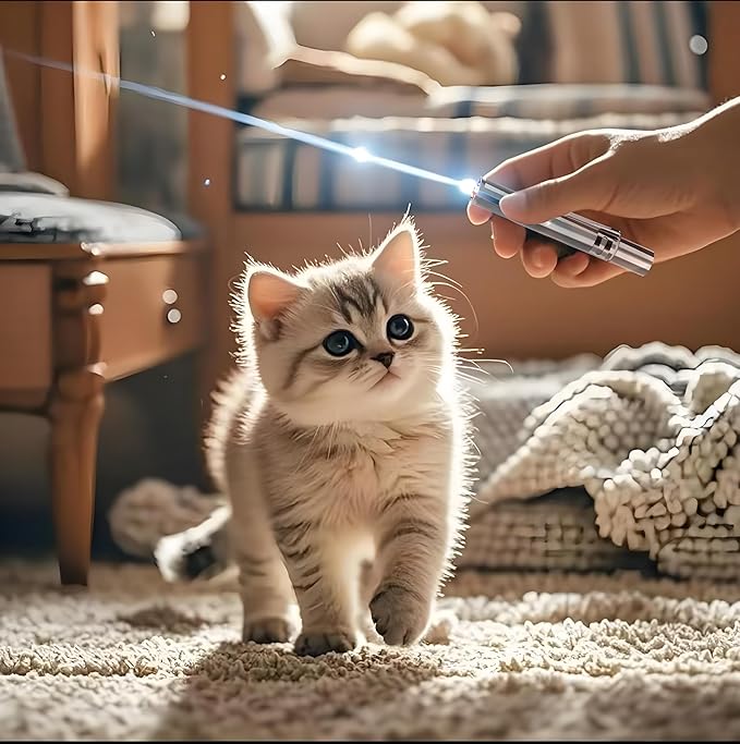 Koackl Cat Toy Pointer for Indoor, USB Rechargeable Toy, 3 Light Colors Cat Interactive Toys for Dogs, Cats, Pet Chase Toy for Fun Playing Training Exercise Indoors