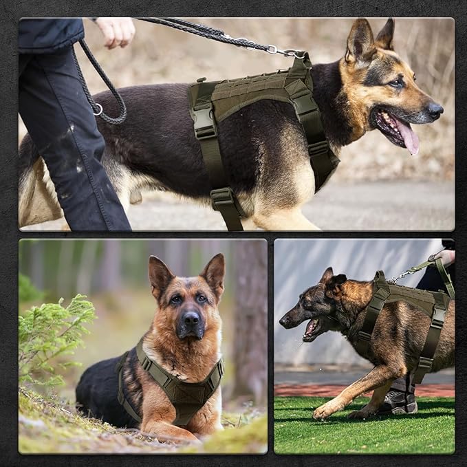 Tactical Dog Harness for Large Dogs, Adjustable No Pull Service Dog Vest Suitable for Training, Walking and Traveling, Easy Control Pet Harness, Army Green, L