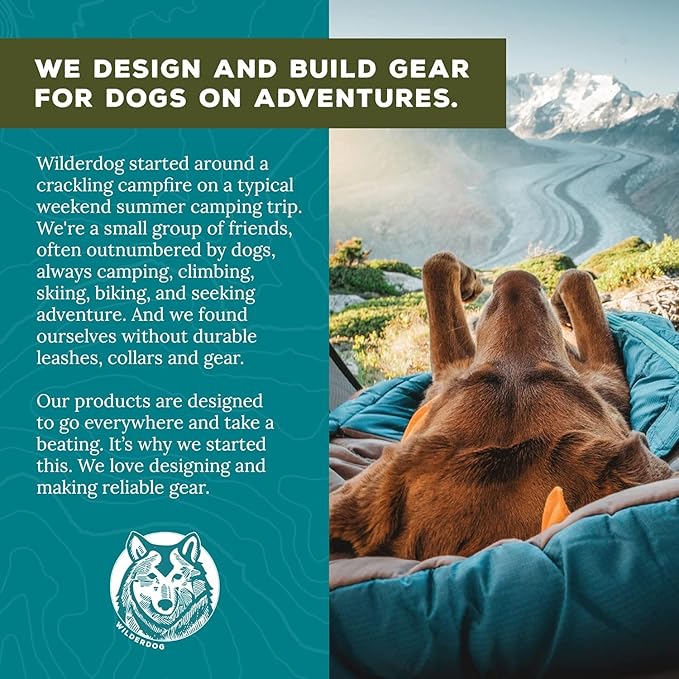 Wilderdog Waterproof Dog Leash - Repels Water & Dirt - Seafoam