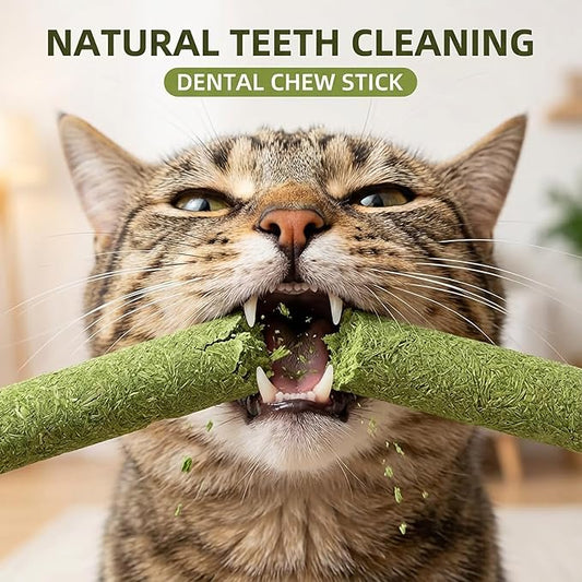 GREMBEB Cat Grass Treat Cats Toy 250g/8.82oz Freeze Dried Catnip Toys Kitten Chew Stick for Removal Hairballs for Cleaning Teeth Indoor Kitty Dental Care Lickable Edible Snack