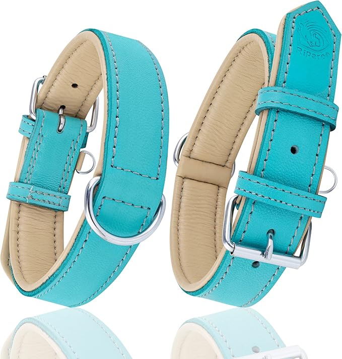 Riparo Dog Collars for Medium Dogs, Genuine Leather Dog Collar, Medium Dog Collar (M: 1" Wide for 13.5β-17.5β Neck, Aqua)