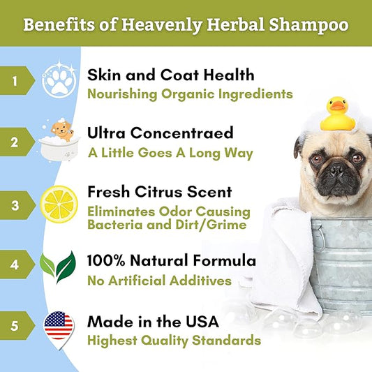 Wholistic Pet Organics Pet Shampoo Concentrate: Heavenly Herbal Organic Dog Shampoo and Conditioner - All Natural Puppy and Cat Shampoo for Dry, Itchy Skin, Allergies, Dandruff (2.0, Ounces)